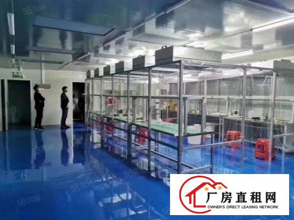  长安镇锦厦河南工业区新空楼上一整层1500，原电子厂，精装