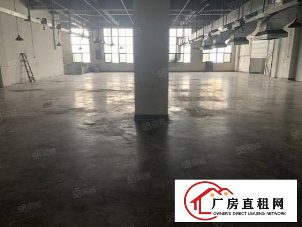  长安乌沙大润发附近新出楼上带豪华装修厂房1700平方。