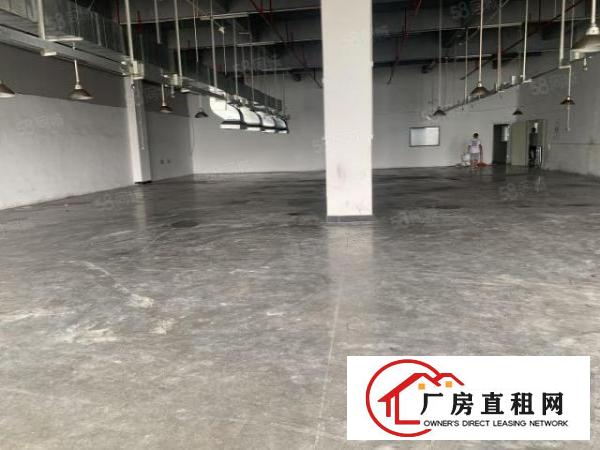  长安乌沙大润发附近新出楼上带豪华装修厂房1700平方。
