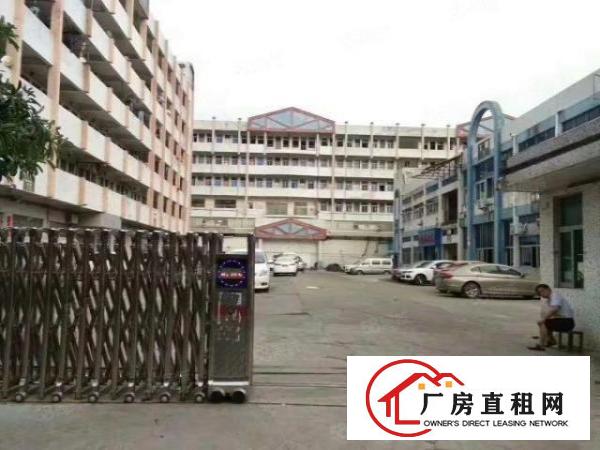  长安锦厦空出楼上1000平带装修厂房出租