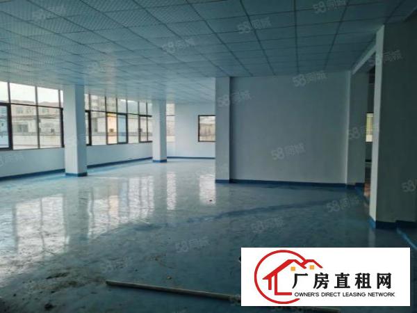  精装出租厂房，位于长安上沙270平起租，全新地平漆，水电全