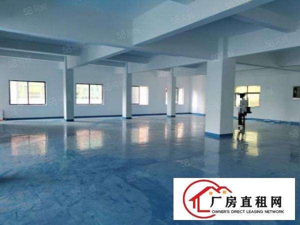  精装出租厂房，位于长安上沙270平起租，全新地平漆，水电全