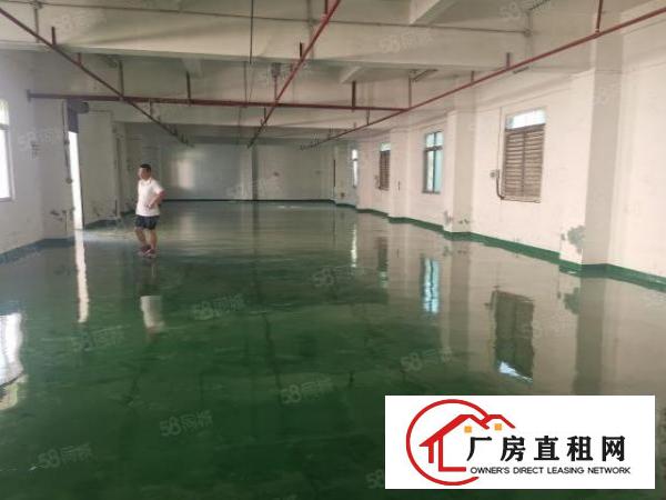  长安上角一楼500平标准厂房招租高度5.5水电齐全