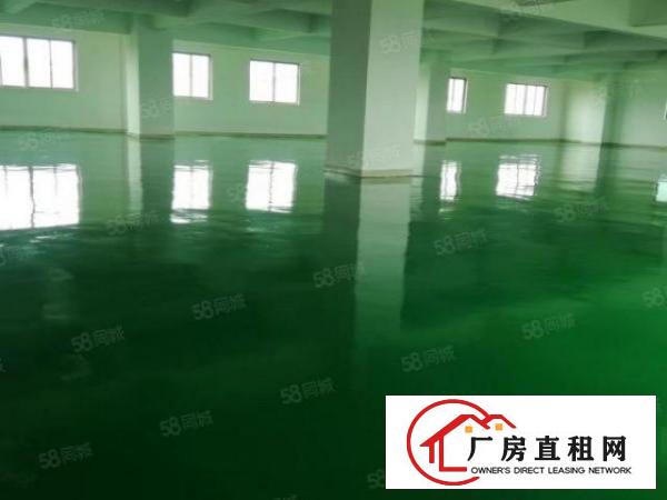  长安镇霄边靠近深圳107国道楼上精装修每层880平米大小分租