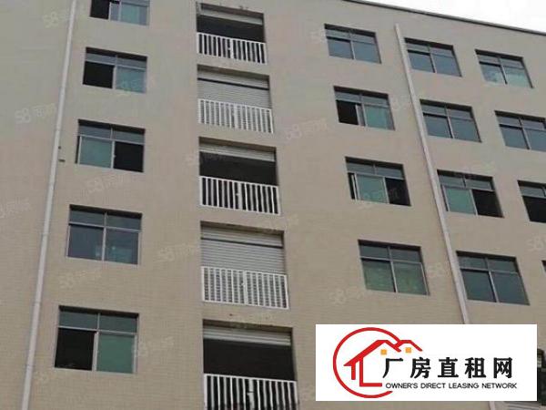  长安镇霄边靠近深圳107国道楼上精装修每层880平米大小分租