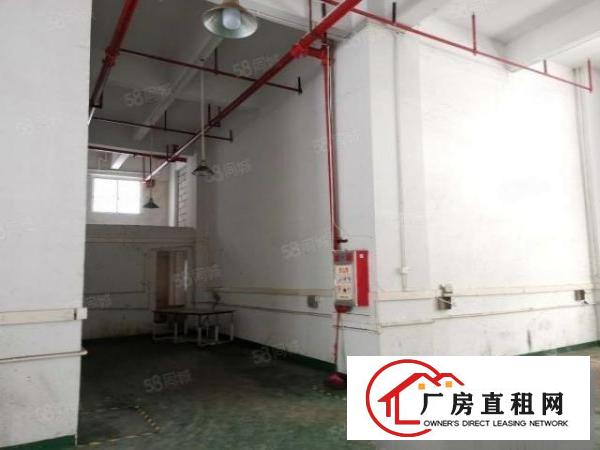  长安沙头新出一楼350平，门口对着马路，铺面形式的厂房