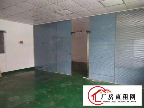  长安沙头新出一楼350平，门口对着马路，铺面形式的厂房