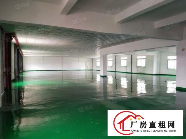  厂房招租沙头附近新出二楼230平，三楼1100平，交通发达便