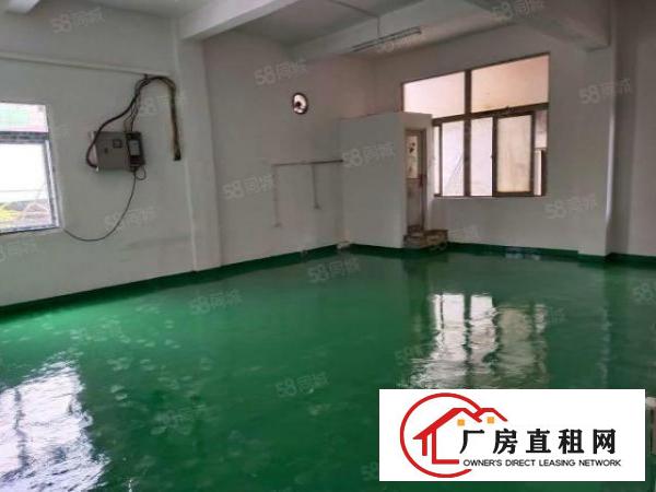  厂房招租沙头附近新出二楼230平，三楼1100平，交通发达便