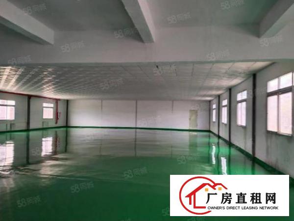  厂房招租沙头附近新出二楼230平，三楼1100平，交通发达便