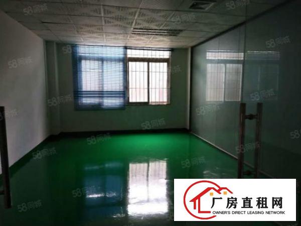  厂房招租沙头附近新出二楼230平，三楼1100平，交通发达便