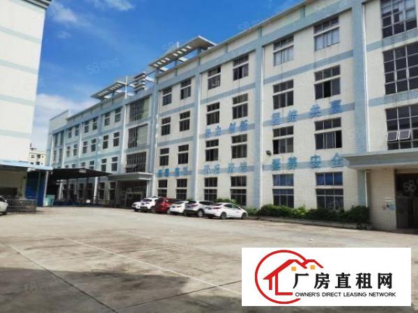  沙头原房东500平.750平一楼带装修厂房水电齐全，位置好