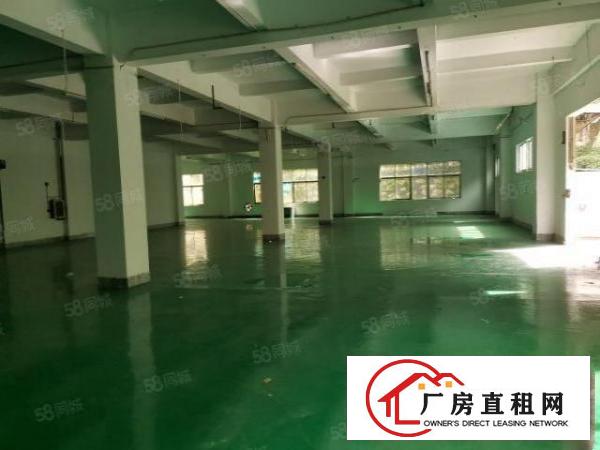  沙头原房东500平.750平一楼带装修厂房水电齐全，位置好