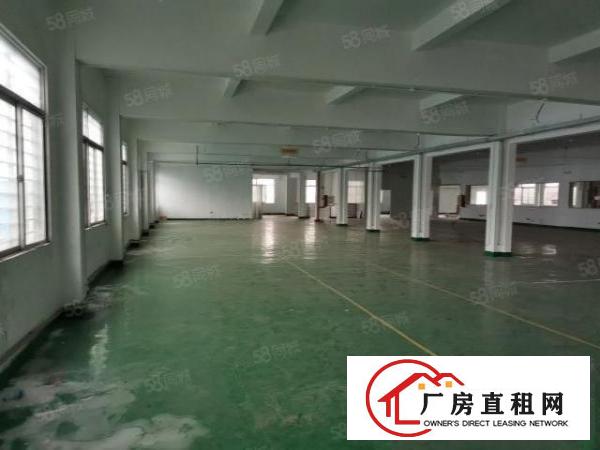  沙头原房东500平.750平一楼带装修厂房水电齐全，位置好
