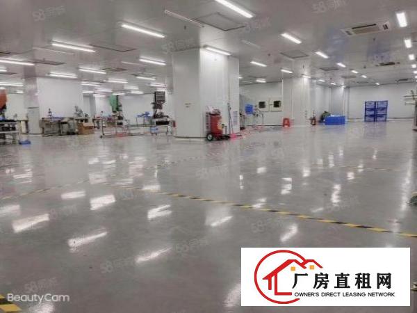  工业用地可办环评，长安乌沙全新重工业厂房楼上2500平方出租