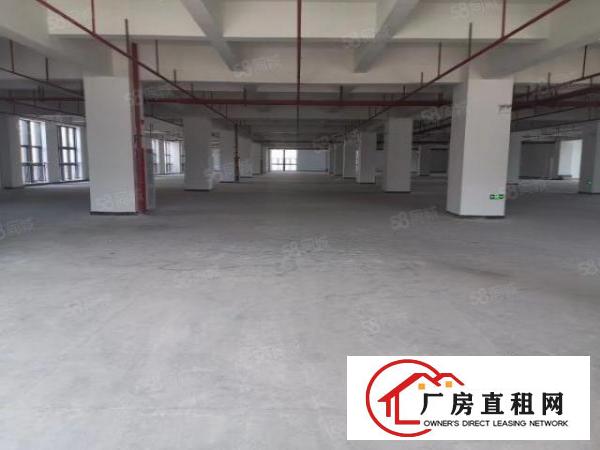  长安镇厦岗原房东全新重工业厂房36000平方火爆招租可分租
