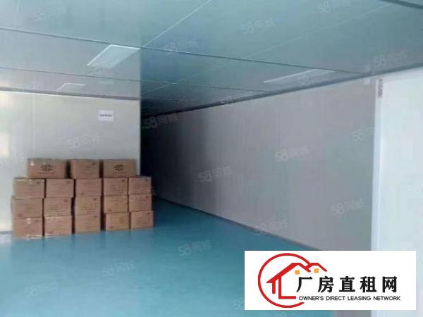  长安街口广深高速附近新出无尘车间三楼1850平方，超豪华装修