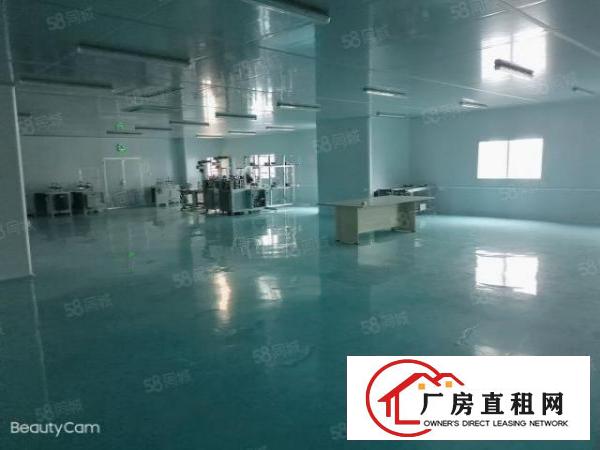  笋！沙头原房东3楼2200平米无尘车间，车间办公室豪华装修