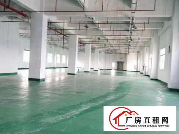  长安新安大桥附近新出楼上整层1750平，水电齐全，两部3吨货