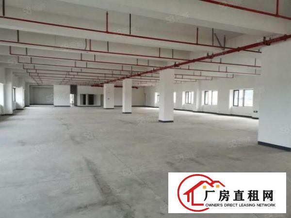  长安镇沙头28000平工业园厂房出租电商仓库出租一楼楼上分租