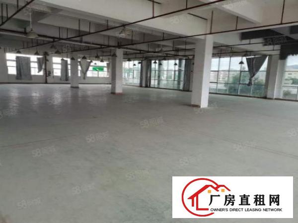  长安镇沙头28000平工业园厂房出租电商仓库出租一楼楼上分租