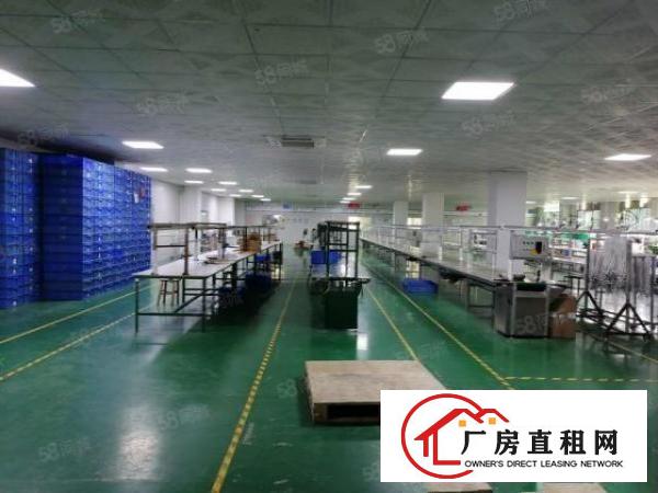  长安镇厦边358省道边新出标准厂房二楼1750平方可分租