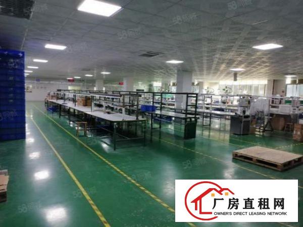  长安镇厦边358省道边新出标准厂房二楼1750平方可分租