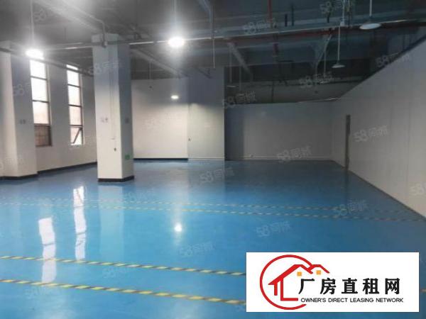 火爆！火爆！长安镇乌沙社区刚空出标准二楼厂房出租