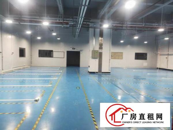  火爆！火爆！长安镇乌沙社区刚空出标准二楼厂房出租