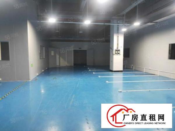  火爆！火爆！长安镇乌沙社区刚空出标准二楼厂房出租