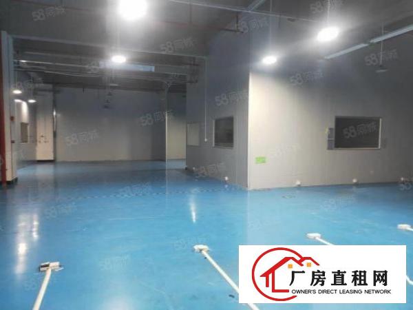  火爆！火爆！长安镇乌沙社区刚空出标准二楼厂房出租