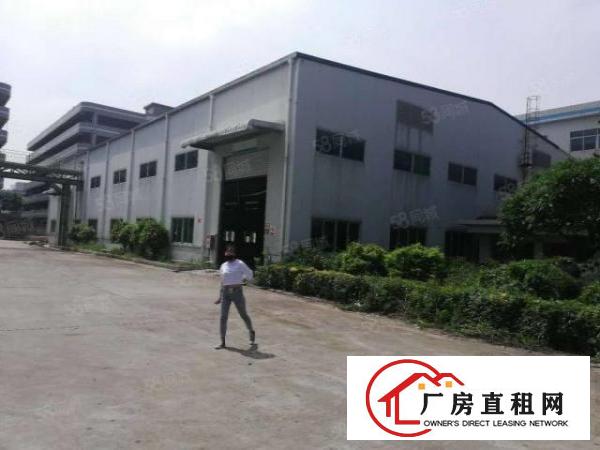  长安镇厦边原房东独院钢构2500平方火爆招租，无公摊
