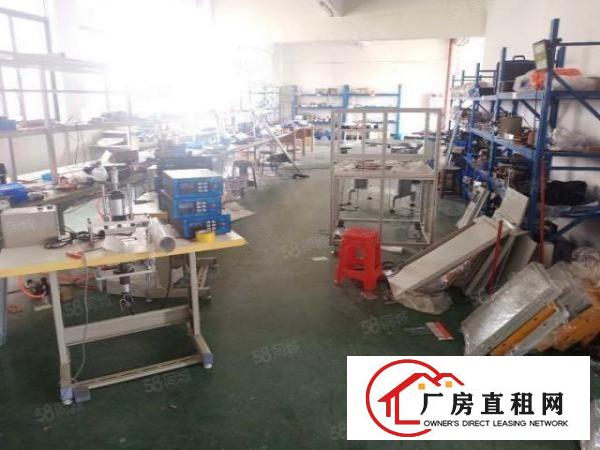  长安沙头南区新出楼上500平方带办公室水电齐全厂房出租