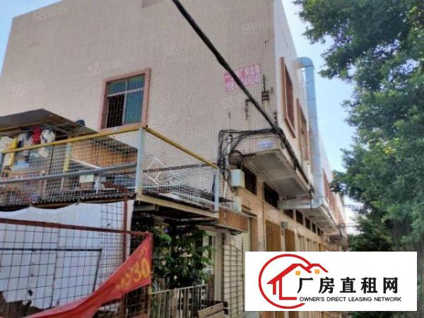  沙头南区新出1000平独栋两层厂房出租有环评证