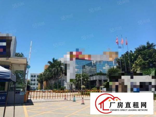  长安上沙工业园新出一栋三楼600平方，四栋900平方厂房，