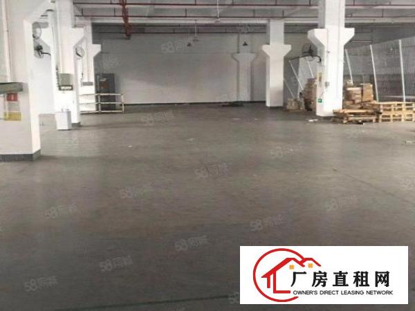  出租独院厂房15000平方长安镇刚空出原房东厂房水电齐全
