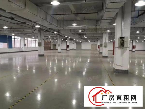  出租独院厂房15000平方长安镇刚空出原房东厂房水电齐全