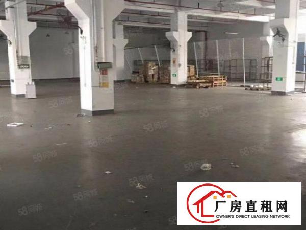  出租独院厂房15000平方长安镇刚空出原房东厂房水电齐全