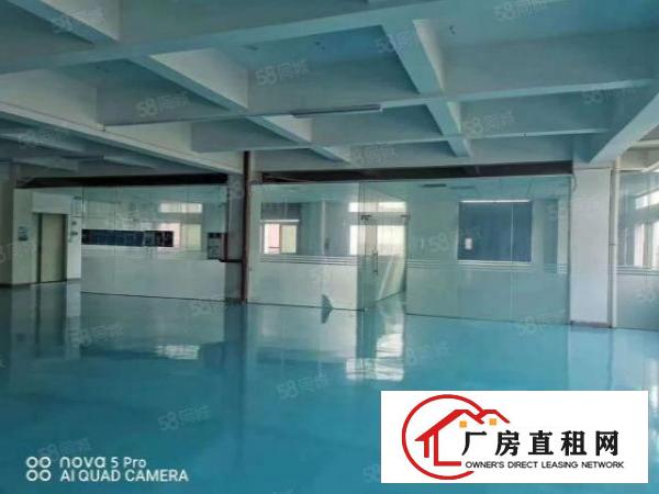  长安沙头南区长安站旁1000平厂房出租水电齐全精装修