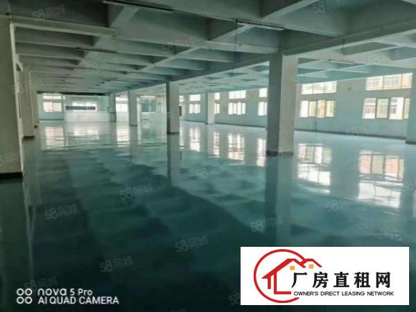  长安沙头南区长安站旁1000平厂房出租水电齐全精装修