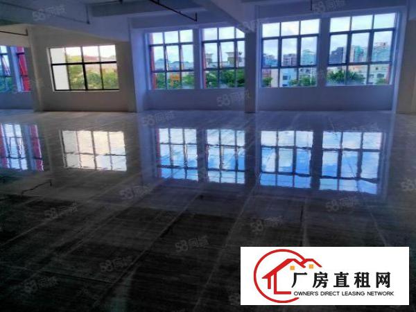  街口，新安医院旁边。楼上厂房大小分租