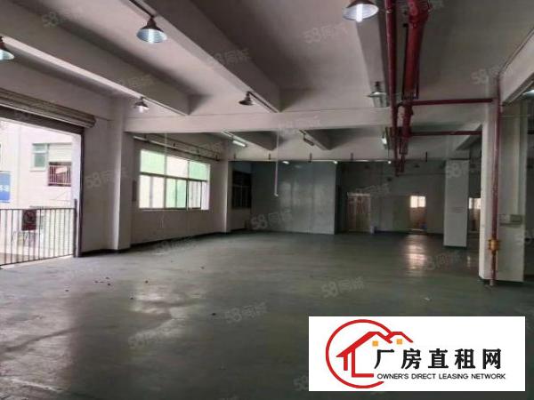  长安沙头轻轨站旁边新出有装修楼上2850平，有办公室