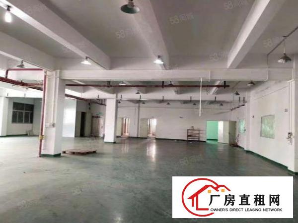  长安沙头轻轨站旁边新出有装修楼上2850平，有办公室