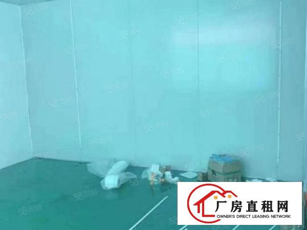 长安沙头一楼新出精装修办公室600平方厂房