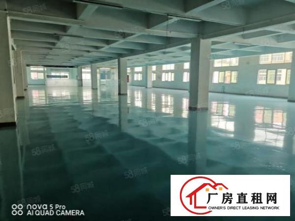  长安厂房出租，沙头南区楼上1400方