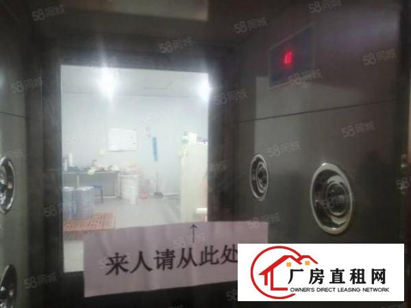  急靓长安乌沙无尘车间现带装修水电到位0成本入驻厂房分租