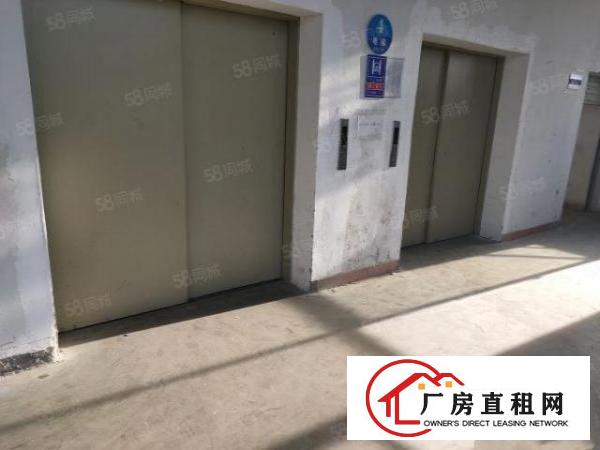  急靓长安乌沙无尘车间现带装修水电到位0成本入驻厂房分租