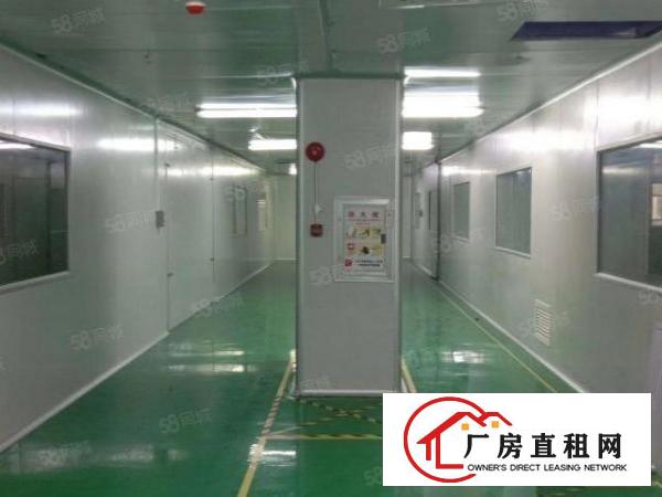  长安镇沙头新出10万级标准无尘车间3500平方火爆招租