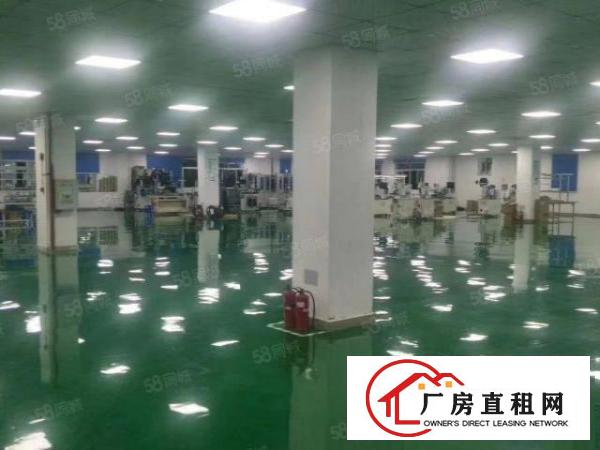 长安镇沙头新出10万级标准无尘车间3500平方火爆招租