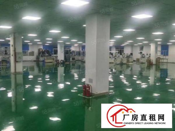  长安镇沙头新出10万级标准无尘车间3500平方火爆招租